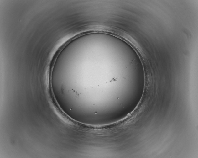 X0000110901128200906181317