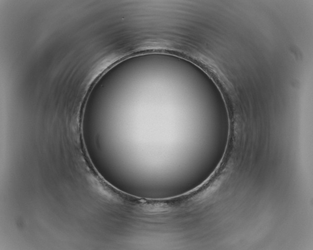 X0000110901129200906181317