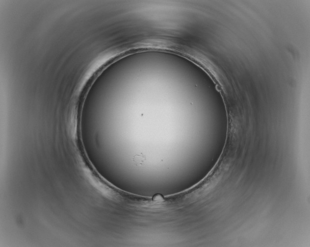 X0000110901131200906181317