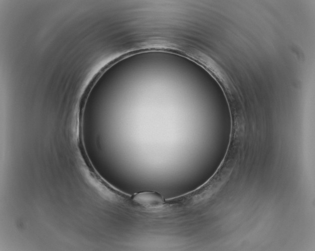 X0000110901132200906181317