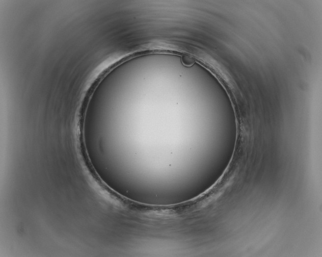 X0000110901133200906181317
