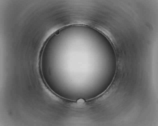 X0000110901135200906181317