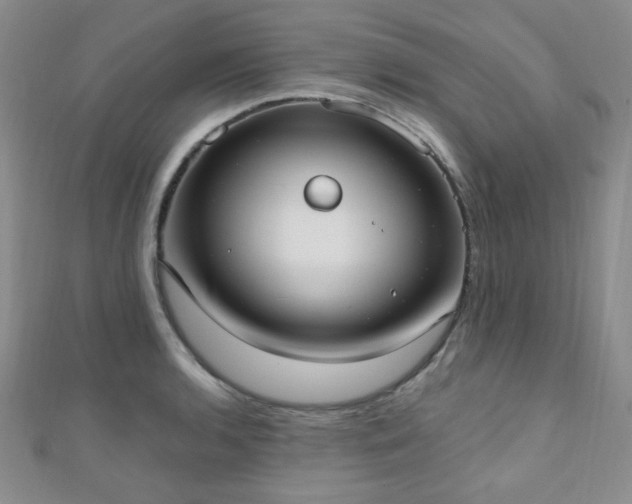 X0000110901136200906181317