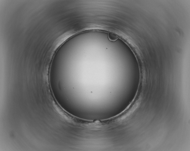 X0000110901137200906181317