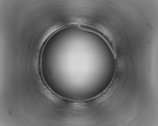 X0000110901138200906181317