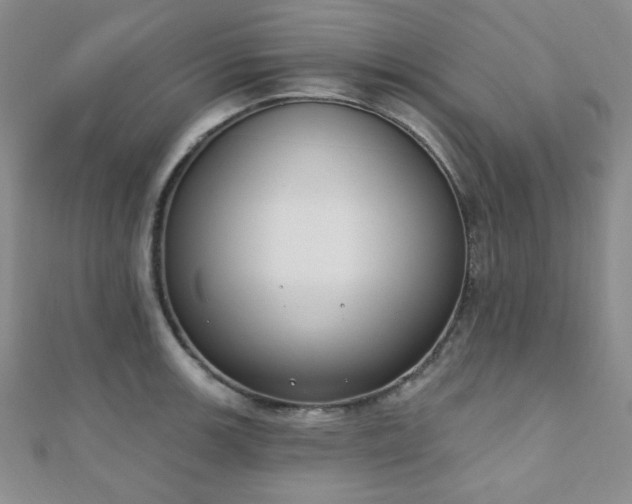 X0000110901139200906181317