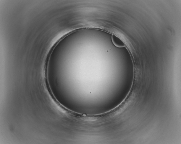 X0000110901141200906181317