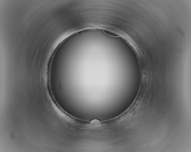 X0000110901143200906181317