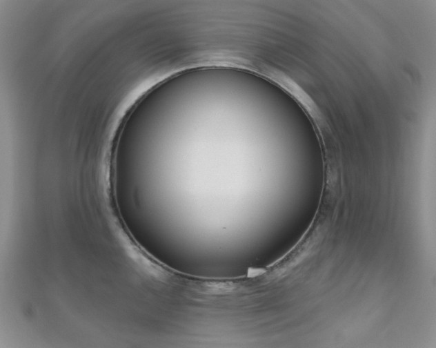X0000110901144200906181317