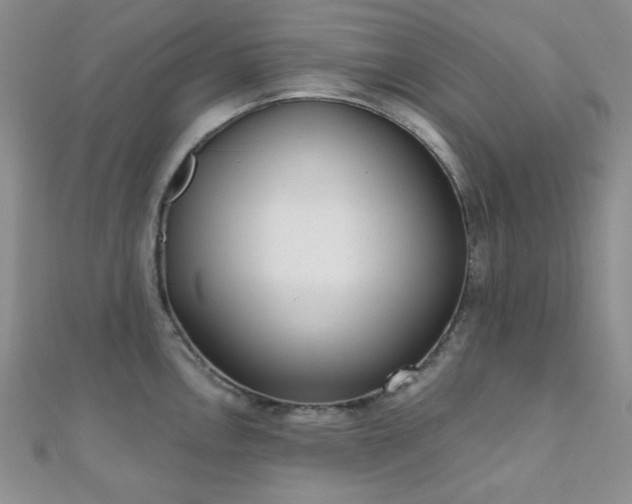 X0000110901146200906181317