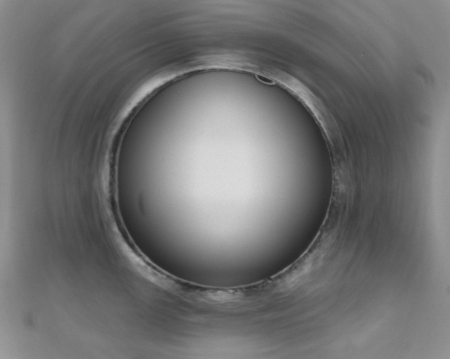 X0000110901147200906181317