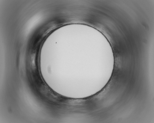 X0000110901150200906181317