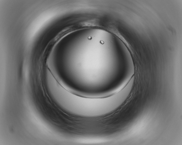 X0000110901151200906181317