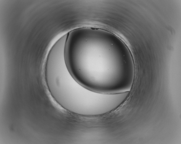 X0000110901152200906181317