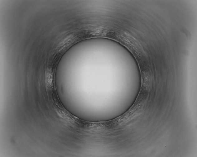 X0000110901154200906181317