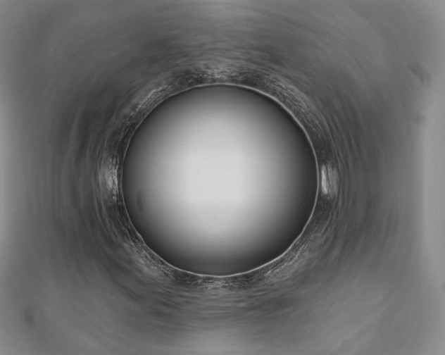 X0000110901155200906181317