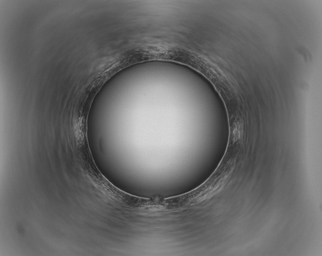 X0000110901156200906181317
