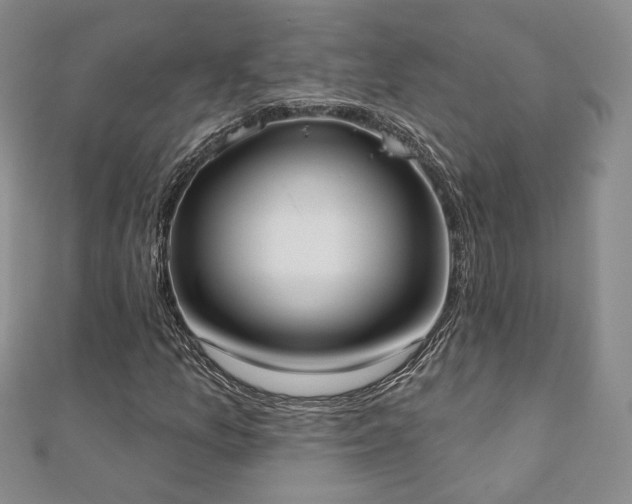 X0000110901157200906181317