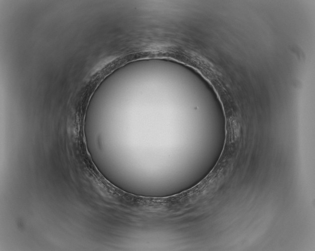 X0000110901158200906181317