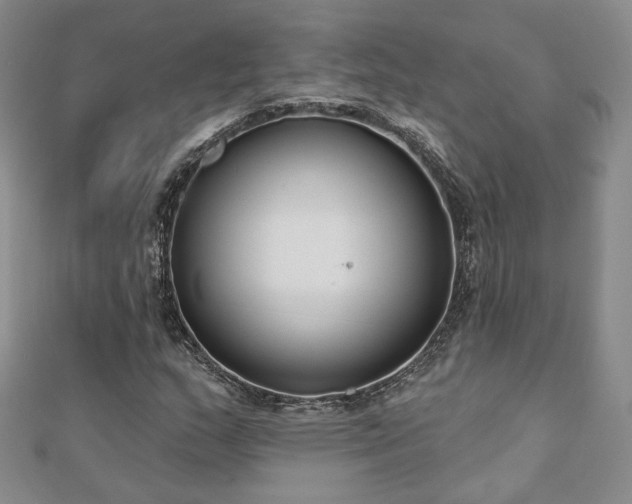X0000110901159200906181317