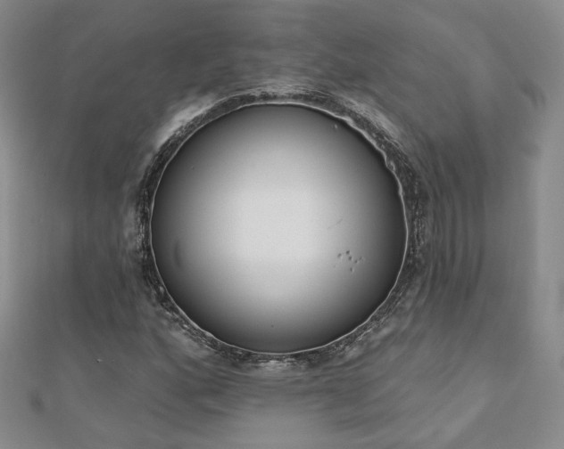 X0000110901160200906181317