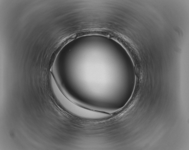 X0000110901161200906181317