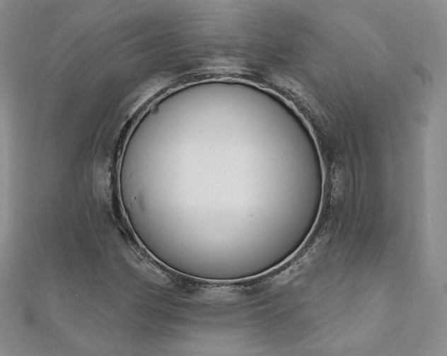 X0000110901162200906181317