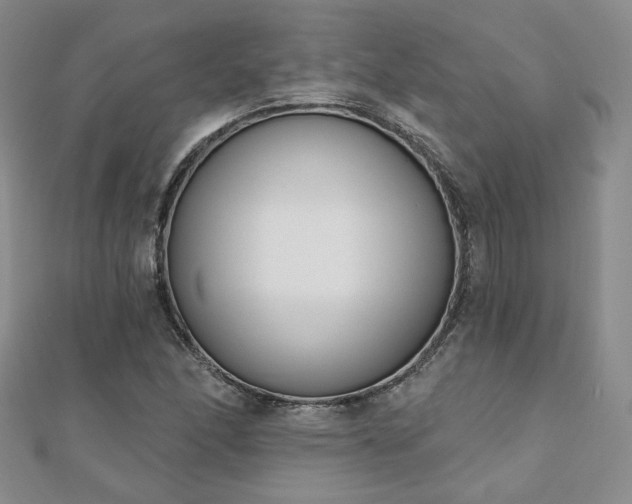 X0000110901166200906181317