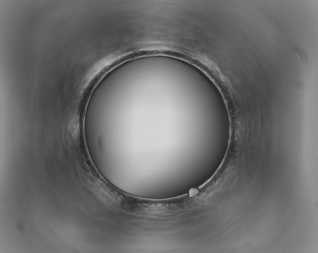 X0000110901167200906181317