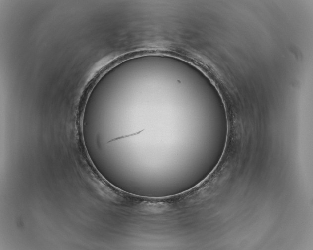X0000110901168200906181317