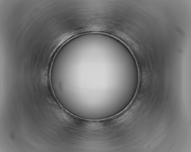 X0000110901170200906181317