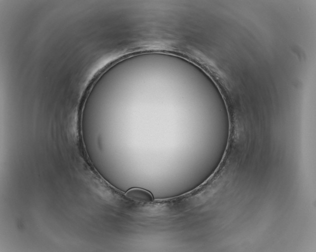 X0000110901174200906181317