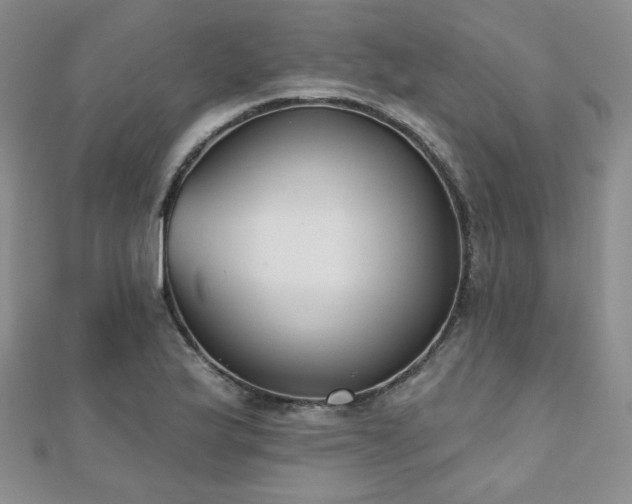 X0000110901175200906181317