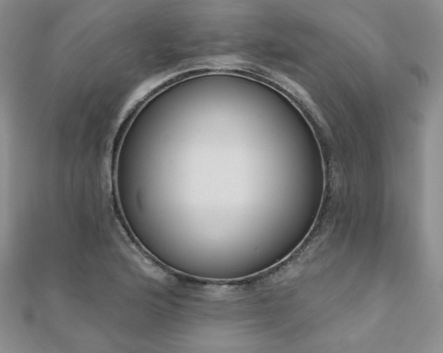 X0000110901176200906181317