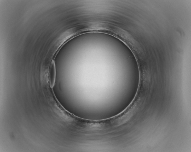 X0000110901177200906181317