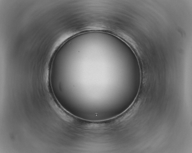 X0000110901179200906181316