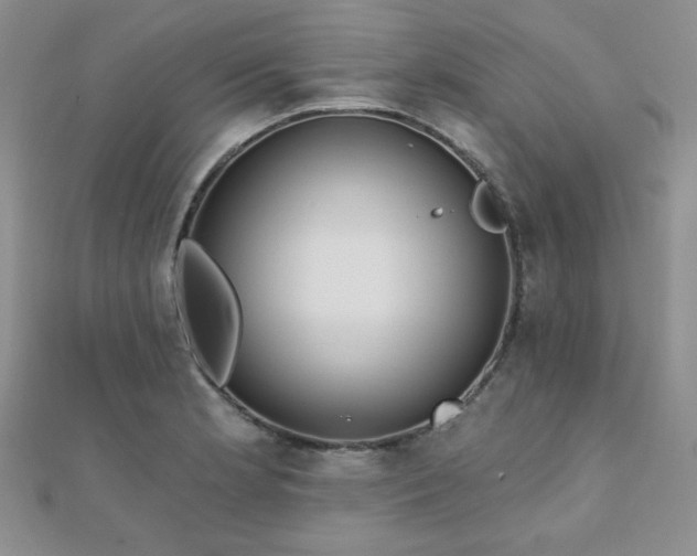 X0000110901181200906181316