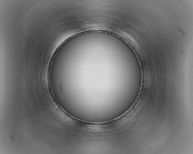 X0000110901182200906181316