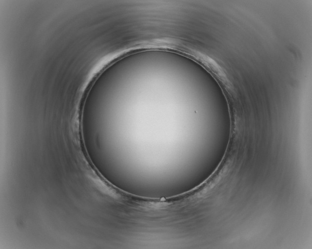X0000110901184200906181316