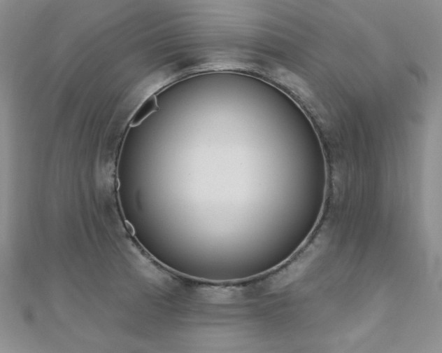 X0000110901185200906181316
