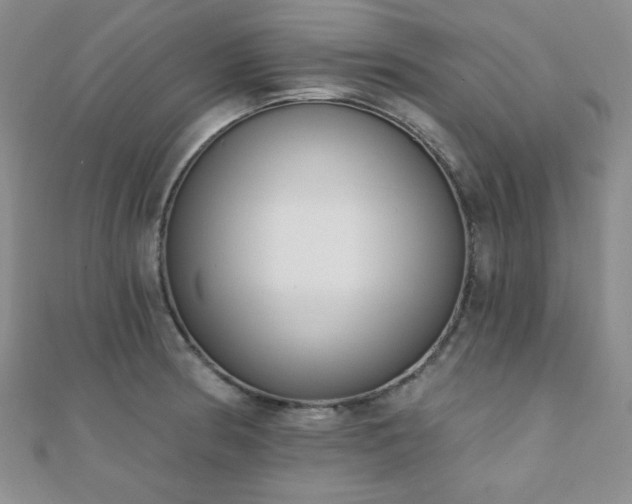 X0000110901186200906181316