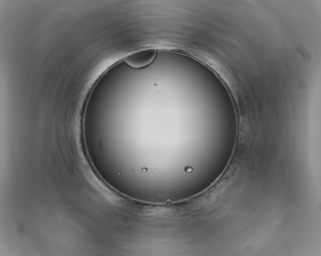 X0000110901187200906181316