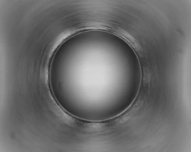 X0000110901188200906181316