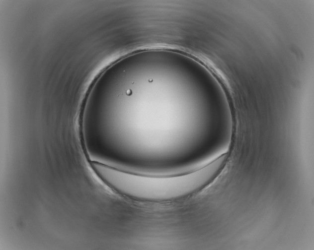 X0000110901189200906181316