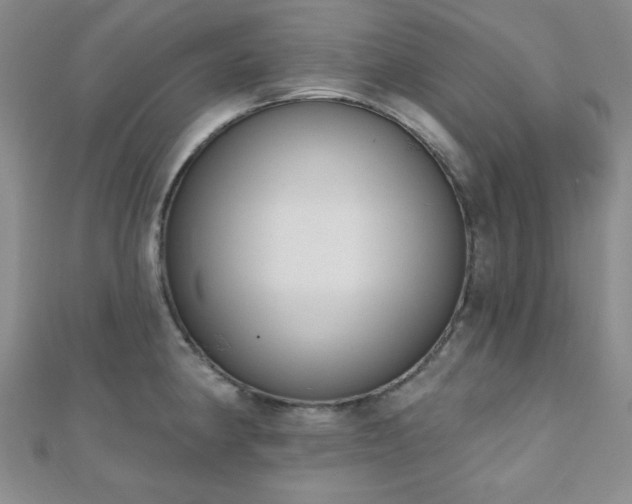 X0000110901190200906181316