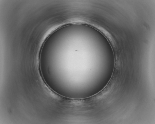 X0000110901191200906181316