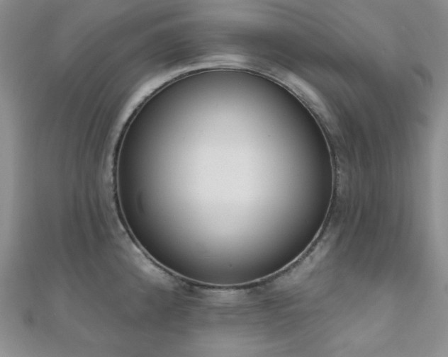 X0000110901192200906181316