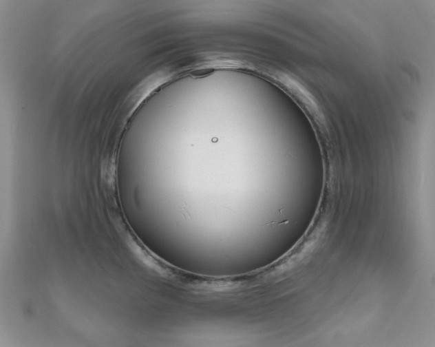 X0000110901193200906181316