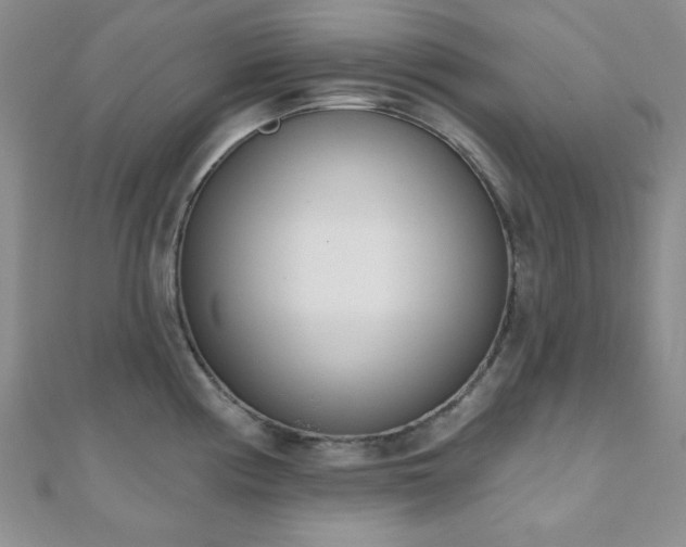 X0000110901194200906181316
