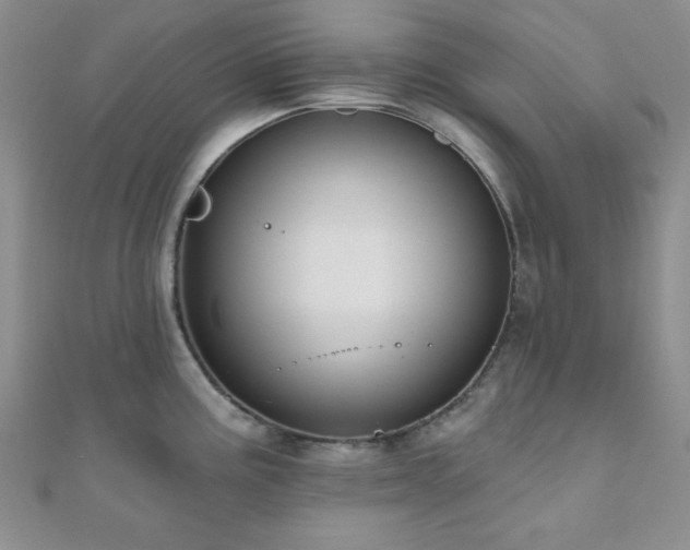 X0000110901195200906181316